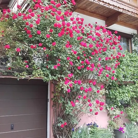 Haus Holaus Helga Aschau Im Zillertal