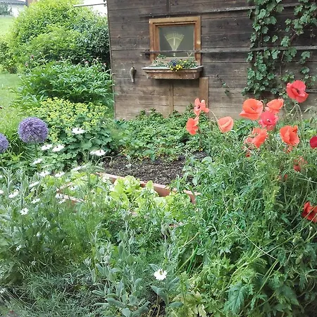Haus Holaus Helga Aschau Im Zillertal