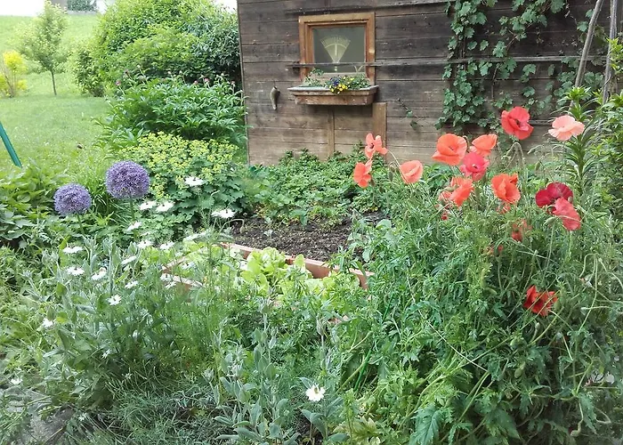 Haus Holaus Helga Aschau Im Zillertal