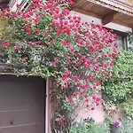 Haus Holaus Helga Aschau Im Zillertal